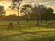 Picturesque pasture view at sunset with horses grazing in a fenced field, highlighting the tranquil rural setting at 22803 67Th E Ave, Bradenton, FL 34211