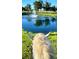 Scenic view from horseback of a tranquil pond with a fountain, reflecting trees in a serene landscape at 22803 67Th E Ave, Bradenton, FL 34211