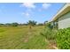 Green lawn with green bushes and a light blue house to the side at 2607 Lancaster Dr # 35, Sun City Center, FL 33573