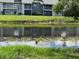 Scenic view of condo buildings overlooking a serene pond, adding natural beauty and tranquility to the community at 2616 Hidden Lake N Dr # A, Sarasota, FL 34237