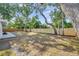 Large fenced backyard featuring mature trees, providing shade and privacy for outdoor activities at 3193 Bellevue St, Sarasota, FL 34237