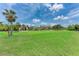 Picturesque golf course view with lush green grass, palm trees and blue skies at 4644 Red Maple Rd # 1303, Bradenton, FL 34210