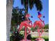 Whimsical flamingo statues add a playful touch to the neighborhood, enhanced by tropical palm trees and sunny skies at 5895 17Th W St # B-26, Bradenton, FL 34207