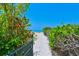 Sandy path framed by lush vegetation leads to the pristine beach and ocean at 5924 Gulf Of Mexico Dr, Longboat Key, FL 34228