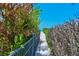 Walkway to the beautiful beach, lined with lush greenery, for easy access at 5924 Gulf Of Mexico Dr, Longboat Key, FL 34228