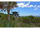 Charming lifeguard stand overlooking a stunning beach, offering safety and scenic views at 415 Courbet Dr # 415, Nokomis, FL 34275