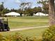 Picturesque golf course view with manicured greens, mature trees, and a glimpse of residential buildings at 433 Cerromar Ln # 331, Venice, FL 34293