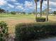 Scenic golf course view surrounded by mature palm trees under a sunny sky at 433 Cerromar Ln # 331, Venice, FL 34293