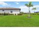 Expansive backyard with lush green grass, well-maintained landscaping, and a black fence at 5165 Coral Reef Way, Bradenton, FL 34211