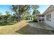 A spacious backyard with a large tree, patio, shed, and screen room, perfect for outdoor activities at 5706 10Th Avenue Dr W, Bradenton, FL 34209