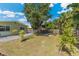 Large backyard featuring green lawn, mature trees, and wooden fence at 6708 11Th Nw Ave, Bradenton, FL 34209