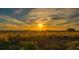 Golden sunset over the beach with grassy dunes in the foreground at 878 Freeling Dr, Sarasota, FL 34242
