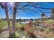 Picturesque view of a serene pond surrounded by trees and vegetation on a sunny day at 12822 Del Corso Loop, Bradenton, FL 34211