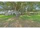 A spacious backyard with mature trees, providing ample shade at 1432 Colony Pl, Venice, FL 34292
