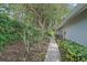 Stone walkway leading to the home through a garden at 1432 Colony Pl, Venice, FL 34292