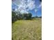 Spacious backyard with open grass area and trees, perfect for outdoor activities and relaxation at 2494 S Milmar Dr, Sarasota, FL 34237