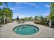 Relaxing hot tub and pool area with lounge chairs and palm trees, perfect for enjoying sunny days at 4542 Cedar Brush Ter, Sarasota, FL 34243