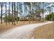 Long driveway leading up to a single-story home surrounded by mature trees at 5204 24Th E Ave, Palmetto, FL 34221