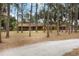 Well-maintained home featuring a long driveway surrounded by tall, mature pine trees at 5204 24Th E Ave, Palmetto, FL 34221