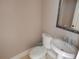 This half bath includes a toilet, pedestal sink, and an framed mirror on a pale wall at 7732 N Mobley Rd, Odessa, FL 33556