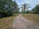 Paver driveway lined with palm trees leading through the landscaped property at 7732 N Mobley Rd, Odessa, FL 33556