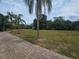 Paver driveway leads up to this grand estate, showcasing a palm-lined lawn at 7732 N Mobley Rd, Odessa, FL 33556