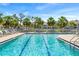 Community swimming pool with chairs and palm trees for relaxation at 11367 Perico Isle Cir, Bradenton, FL 34209