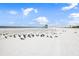 A bird sanctuary, the beach is a haven for flocks and a picturesque seaside escape at 116 Vista Hermosa Cir # 204C, Sarasota, FL 34242