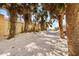 Sandy beach access path lined with lush palm trees leading to a serene waterfront property at 116 Vista Hermosa Cir # 204C, Sarasota, FL 34242