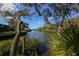 Picturesque water view shows tropical foliage with serene waters at 1609 Bayhouse Point Dr # 232, Sarasota, FL 34231