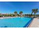 A large community pool sits among lounge seating and towering palms at 229 Alento Ct, Nokomis, FL 34275