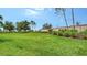 Beautifully maintained lawn with lush green grass and manicured landscaping for outdoor enjoyment at 229 Alento Ct, Nokomis, FL 34275