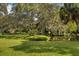 Picturesque view of a tranquil pond, embraced by mature trees draped with Spanish moss at 3010 E Forest Lake Dr, Sarasota, FL 34232