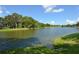 Scenic view of a serene lake surrounded by lush greenery and trees under a bright blue sky at 4514 Trails Dr, Sarasota, FL 34232