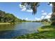 Picturesque lake view surrounded by mature trees and lush greenery beneath a beautiful sky at 4514 Trails Dr, Sarasota, FL 34232