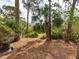 Lush backyard with mature trees, a variety of plantings and dappled sunlight at 635 N Jefferson Ave # 635, Sarasota, FL 34237