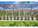 Inviting screened pool area with lush landscaping and a clear blue pool at 13918 Old Creek Ct, Parrish, FL 34219