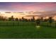 Lush backyard featuring a well-maintained lawn and decorative landscaping at 16807 Barnwood Pl, Bradenton, FL 34211