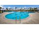 Resort-style swimming pool with ample lounge seating, palm trees, and tropical landscaping at 16807 Barnwood Pl, Bradenton, FL 34211