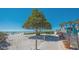 Beachfront with a unique tree providing shade and beauty, with umbrellas and chairs in the distance at 2045 Gulf Of Mexico Dr # M1-302, Longboat Key, FL 34228