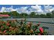 A fenced tennis court is surrounded by beautiful landscaping and lush greenery at 2045 Gulf Of Mexico Dr # M1-302, Longboat Key, FL 34228