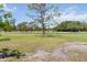 Expansive greenspace view showcasing a mature tree and well-maintained lawn on a sunny day at 2067 Tocobaga Ln, Nokomis, FL 34275
