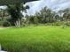 Expansive backyard with healthy green grass and natural landscaping at 2881 Pope St, North Port, FL 34287