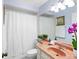 Bathroom with a blue color scheme, shower with curtain, vanity and an orchid at 5729 Garden Lakes Palm, Bradenton, FL 34203