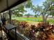 Scenic view of the pond from the sunroom window showing the lush landscaping and surrounding buildings at 5810 Garden Lakes Palm, Bradenton, FL 34203