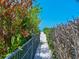 Sandy beach path surrounded by lush greenery leads to the clear blue ocean on a sunny day at 5920 Gulf Of Mexico Dr, Longboat Key, FL 34228