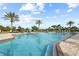 Community swimming pool with lounge chairs, palm trees, and a clear blue sky, perfect for relaxing and soaking up the sun at 5987 Snowy Egret Dr, Sarasota, FL 34238