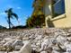 Close-up of the meticulously landscaped yard featuring decorative stones and lush greenery at 6113 Mckee St, Port Charlotte, FL 33981