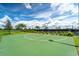 Outdoor basketball court with well-maintained green surface and surrounding greenery at 7005 River Hammock Dr # 206, Bradenton, FL 34212