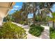 Landscaped backyard with mature palm trees and lush greenery leading to the tranquil waterfront and dock at 868 Siesta Key Cir, Sarasota, FL 34242